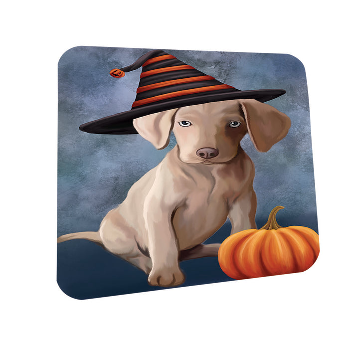 Happy Halloween Weimaraner Dog Wearing Witch Hat with Pumpkin Coasters Set of 4 CST54792