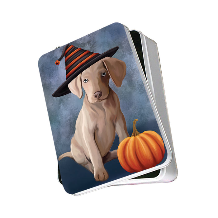 Happy Halloween Weimaraner Dog Wearing Witch Hat with Pumpkin Photo Storage Tin PITN54777