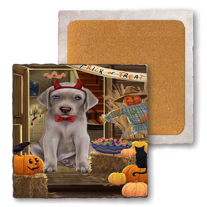 Enter at Own Risk Trick or Treat Halloween Weimaraner Dog Set of 4 Natural Stone Marble Tile Coasters MCST48332