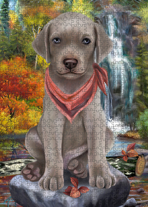 Scenic Waterfall Weimaraner Dog Puzzle with Photo Tin PUZL60054