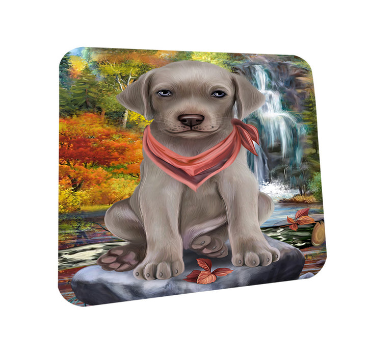 Scenic Waterfall Weimaraner Dog Coasters Set of 4 CST51948