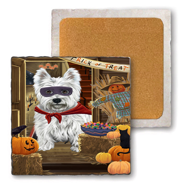 Enter at Own Risk Trick or Treat Halloween West Highland Terrier Dog Set of 4 Natural Stone Marble Tile Coasters MCST48335
