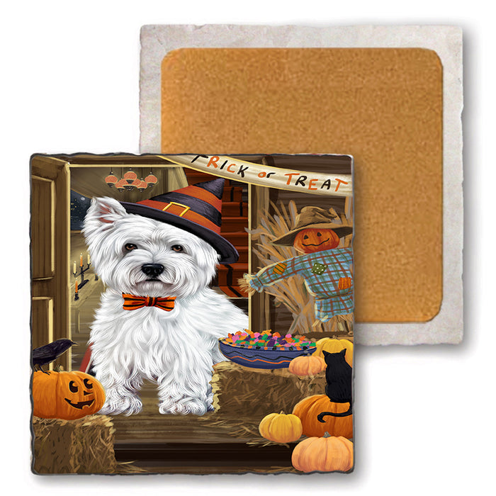Enter at Own Risk Trick or Treat Halloween West Highland Terrier Dog Set of 4 Natural Stone Marble Tile Coasters MCST48338