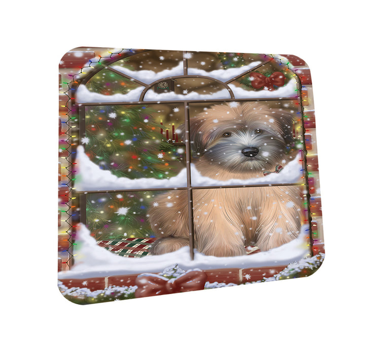 Please Come Home For Christmas Wheaten Terrier Dog Sitting In Window Coasters Set of 4 CST53609