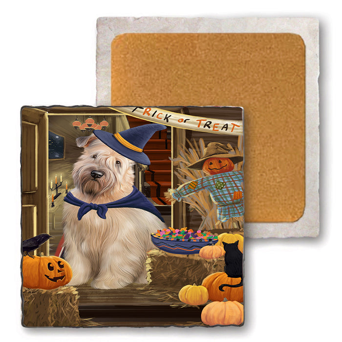 Enter at Own Risk Trick or Treat Halloween Wheaten Terrier Dog Set of 4 Natural Stone Marble Tile Coasters MCST48339