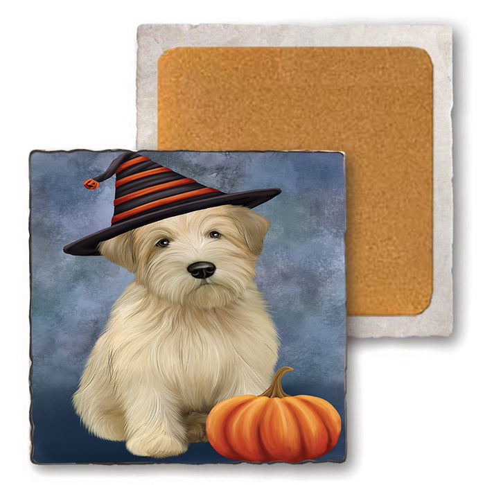 Happy Halloween Wheaten Terrier Dog Wearing Witch Hat with Pumpkin Set of 4 Natural Stone Marble Tile Coasters MCST49751