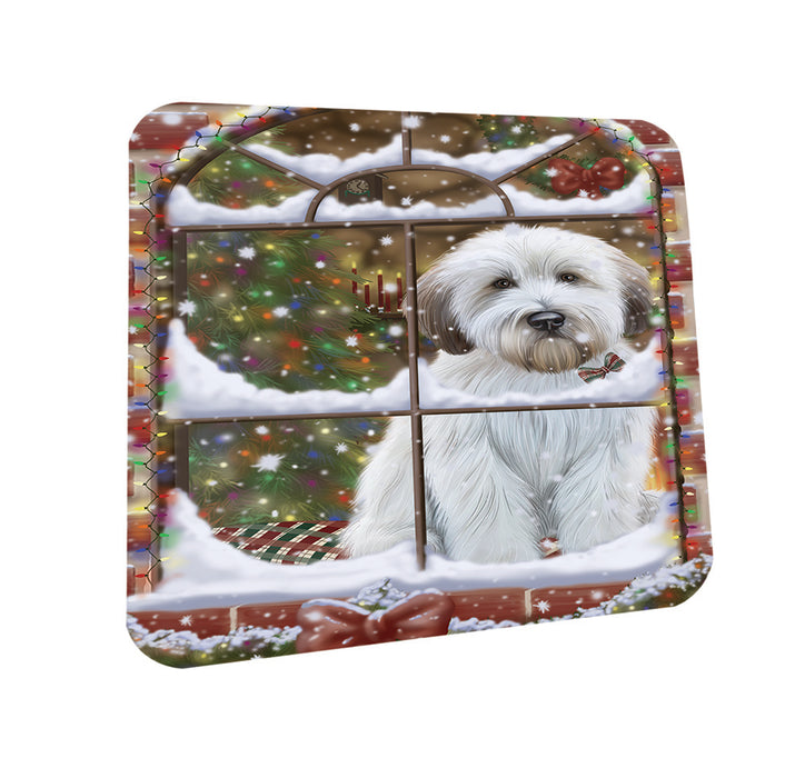 Please Come Home For Christmas Wheaten Terrier Dog Sitting In Window Coasters Set of 4 CST53610