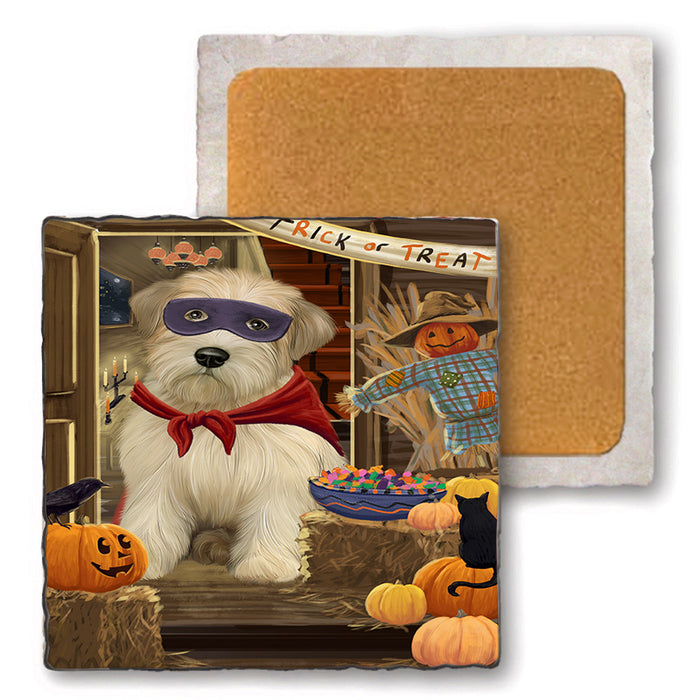 Enter at Own Risk Trick or Treat Halloween Wheaten Terrier Dog Set of 4 Natural Stone Marble Tile Coasters MCST48340