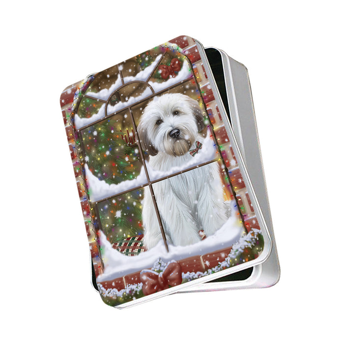 Please Come Home For Christmas Wheaten Terrier Dog Sitting In Window Photo Storage Tin PITN57566