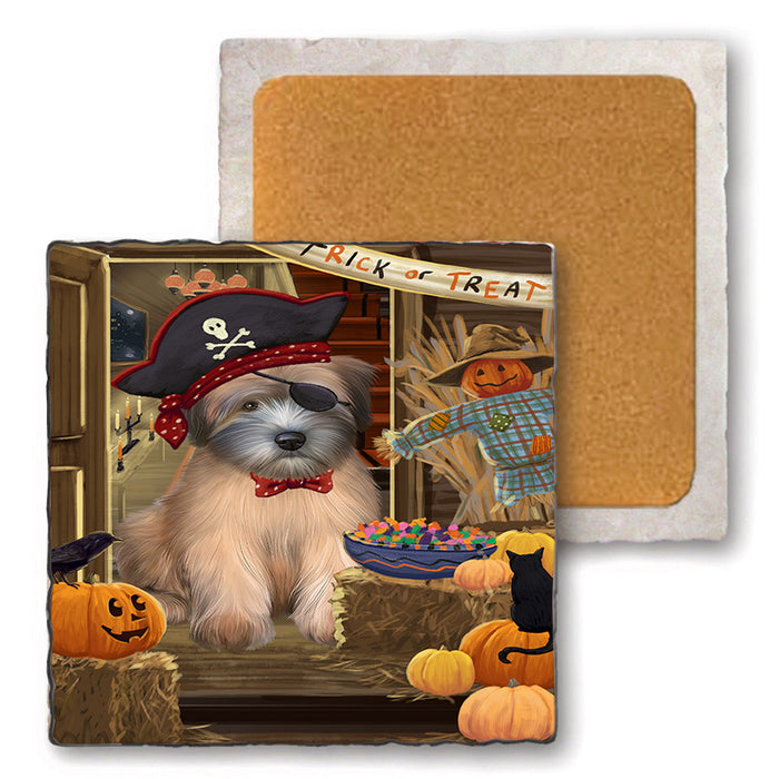 Enter at Own Risk Trick or Treat Halloween Wheaten Terrier Dog Set of 4 Natural Stone Marble Tile Coasters MCST48341