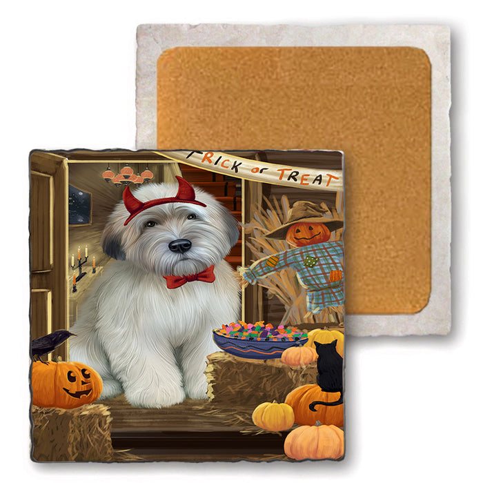 Enter at Own Risk Trick or Treat Halloween Wheaten Terrier Dog Set of 4 Natural Stone Marble Tile Coasters MCST48342