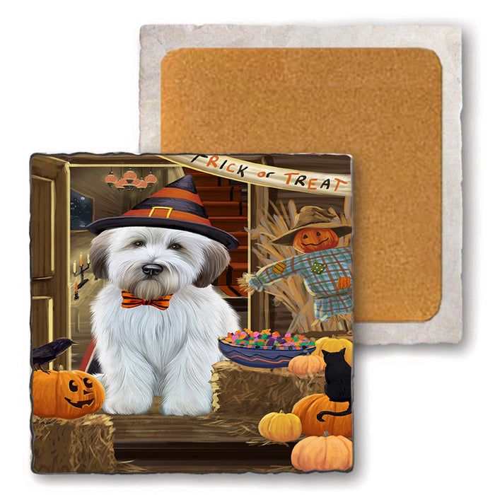 Enter at Own Risk Trick or Treat Halloween Wheaten Terrier Dog Set of 4 Natural Stone Marble Tile Coasters MCST48343