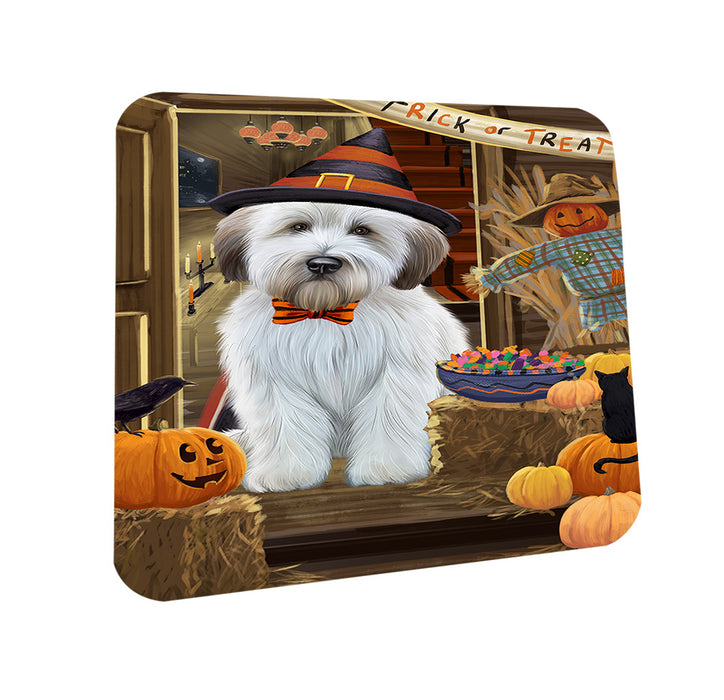 Enter at Own Risk Trick or Treat Halloween Wheaten Terrier Dog Coasters Set of 4 CST53301