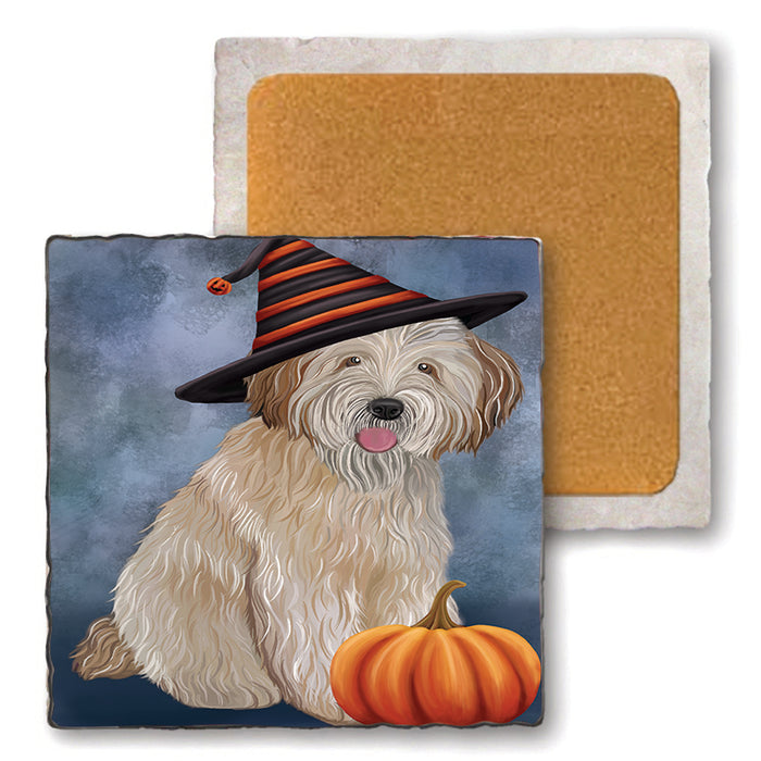 Happy Halloween Wheaten Terrier Dog Wearing Witch Hat with Pumpkin Set of 4 Natural Stone Marble Tile Coasters MCST49843