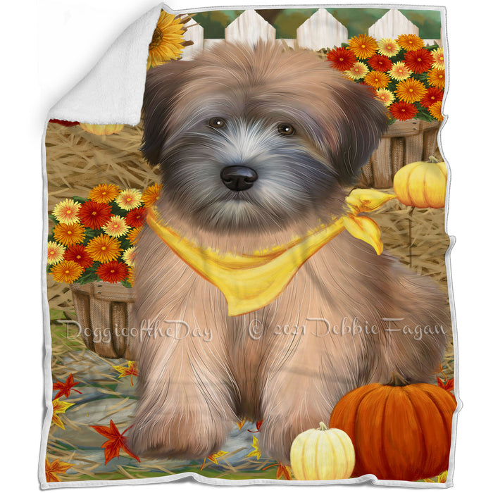 Fall Autumn Greeting Wheaten Terrier Dog with Pumpkins Blanket BLNKT87483