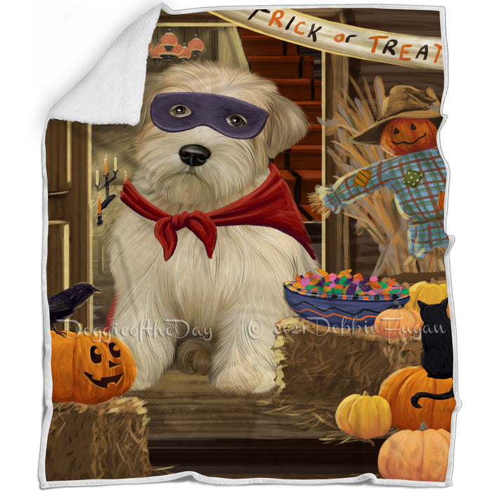 Enter at Own Risk Trick or Treat Halloween Wheaten Terrier Dog Blanket BLNKT97401