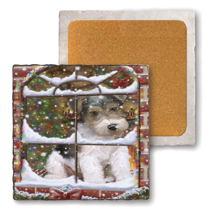 Please Come Home For Christmas Wire Fox Terrier Dog Sitting In Window Set of 4 Natural Stone Marble Tile Coasters MCST48654
