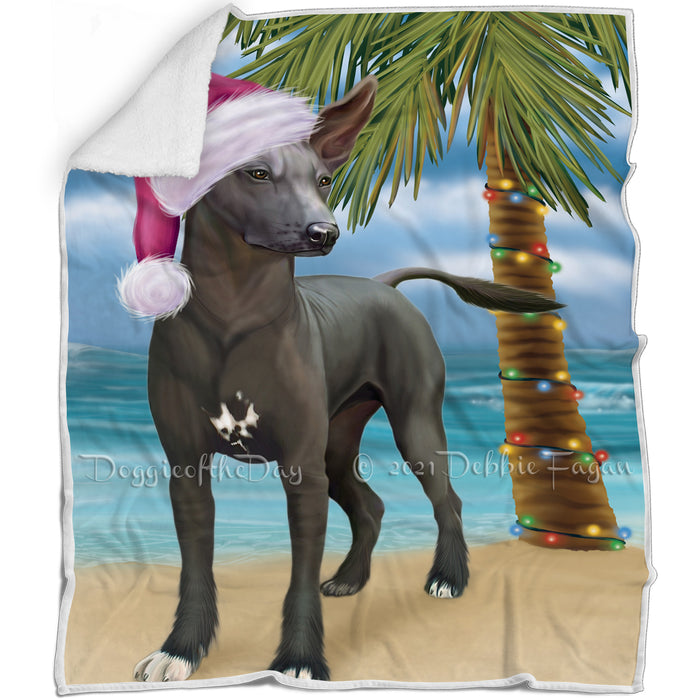 Summertime Happy Holidays Christmas Xoloitzcuintli Mexican Haireless Dog on Tropical Island Beach Blanket D150