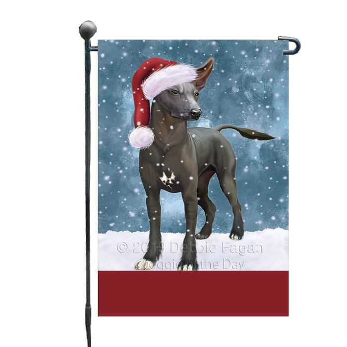 Personalized Let It Snow Happy Holidays Xoloitzcuintli Mexican Haireless Dog Custom Garden Flags GFLG-DOTD-A62487