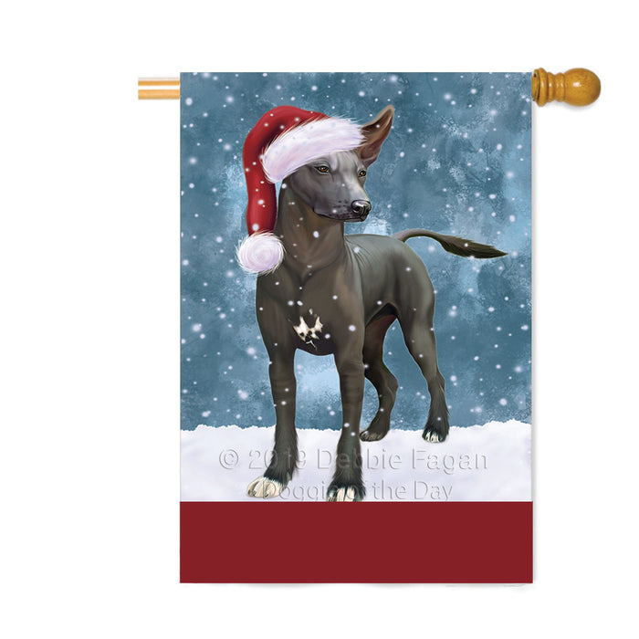 Personalized Let It Snow Happy Holidays Xoloitzcuintli Mexican Haireless Dog Custom House Flag FLG-DOTD-A62543