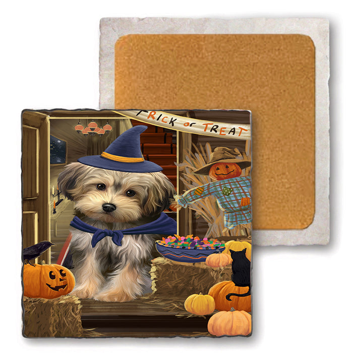 Enter at Own Risk Trick or Treat Halloween Yorkipoo Dog Set of 4 Natural Stone Marble Tile Coasters MCST48349