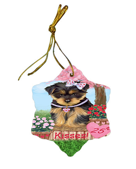 Rosie 25 Cent Kisses Yorkshire Terrier Dog Star Porcelain Ornament SPOR56631