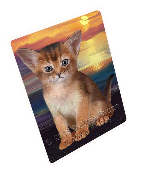 Abyssinian Cat Blanket BLNKT110001