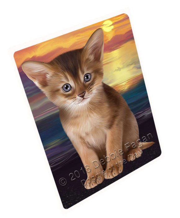 Abyssinian Cat Blanket BLNKT110019