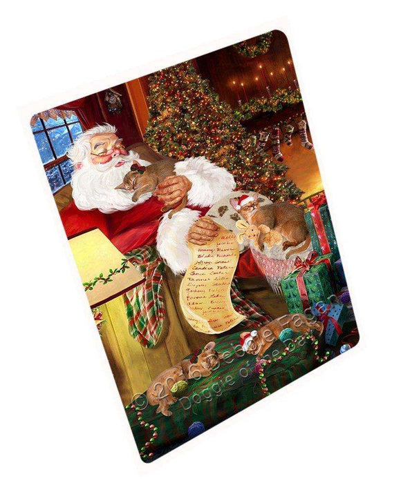 Abyssinian Cats and Kittens Sleeping with Santa Large Refrigerator / Dishwasher Magnet D295