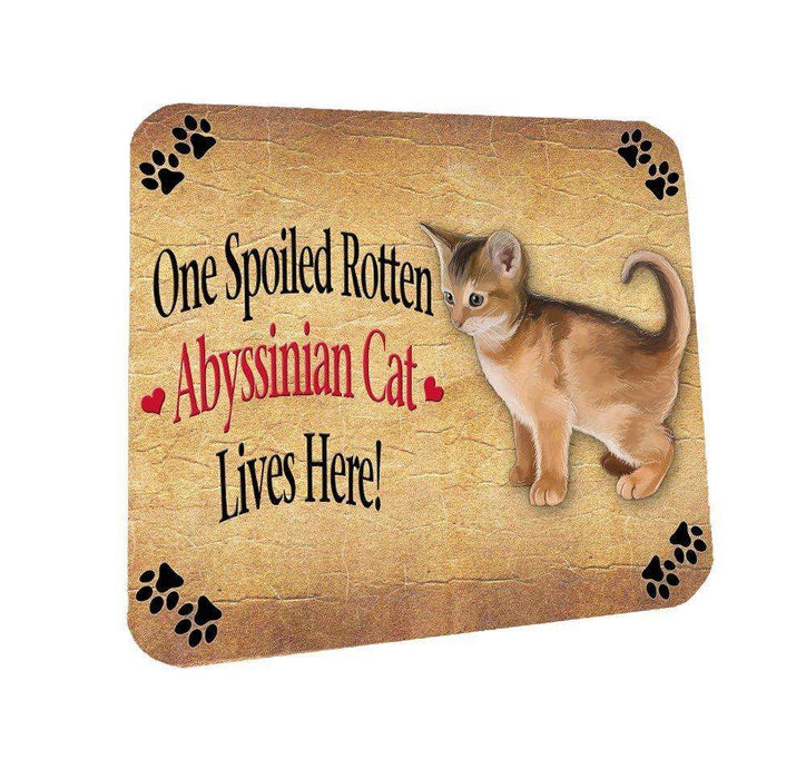 Abyssinian Kitten Spoiled Rotten Cat Coasters Set of 4