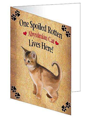 Abyssinian Kitten Spoiled Rotten Cat Handmade Artwork Assorted Pets Greeting Cards and Note Cards with Envelopes for All Occasions and Holiday Seasons