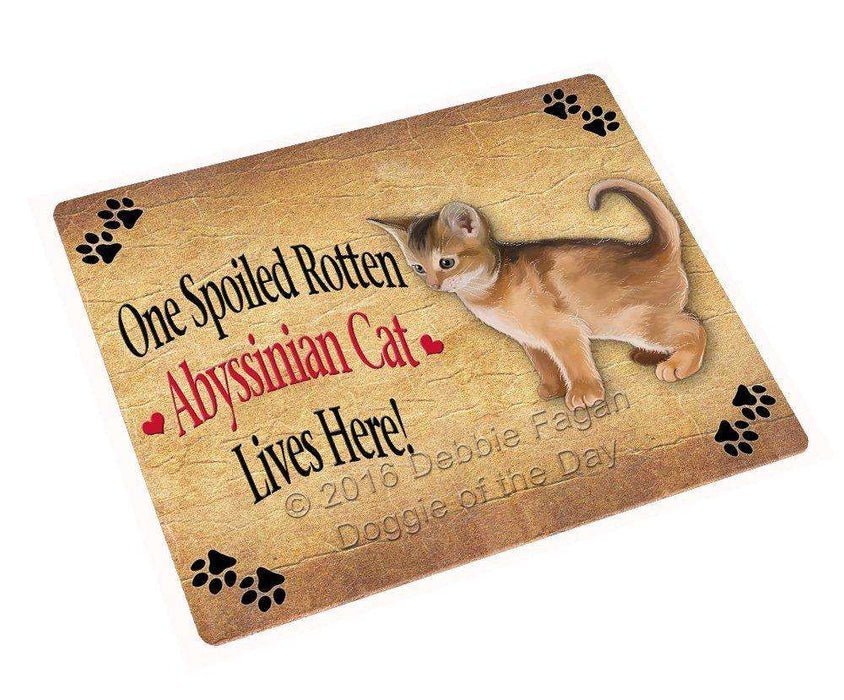 Abyssinian Kitten Spoiled Rotten Cat Magnet Mini (3.5" x 2")