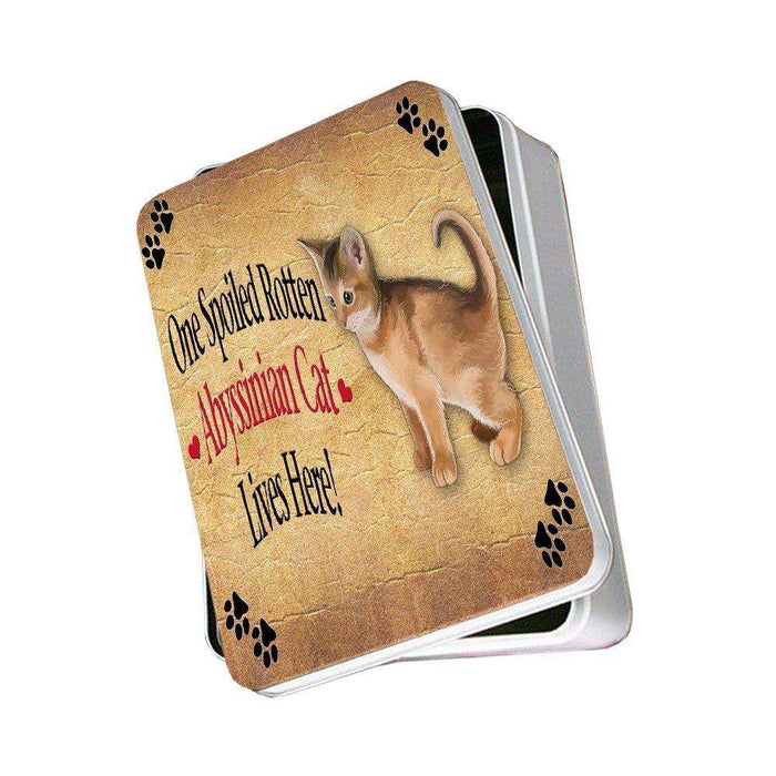 Abyssinian Kitten Spoiled Rotten Cat Photo Storage Tin