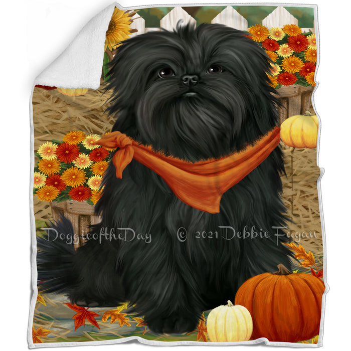 Fall Autumn Greeting Affenpinscher Dog with Pumpkins Blanket BLNKT71976