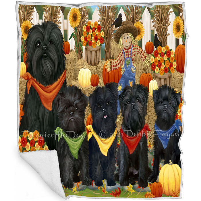 Fall Festive Gathering Affenpinschers with Pumpkins Blanket BLNKT71598
