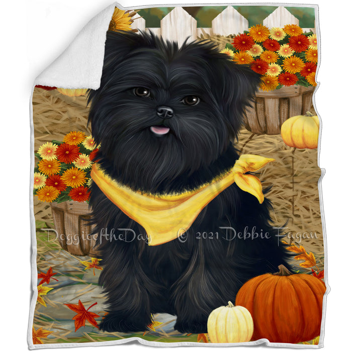 Fall Autumn Greeting Affenpinscher Dog with Pumpkins Blanket BLNKT71985