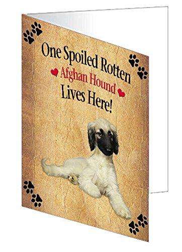 Afghan Hound Spoiled Rotten Dog Handmade Artwork Assorted Pets Greeting Cards and Note Cards with Envelopes for All Occasions and Holiday Seasons