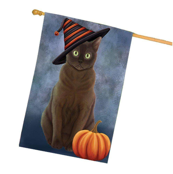 American Bermese Zibeline Cat Wearing Witch Hat with Pumpkin House Flag