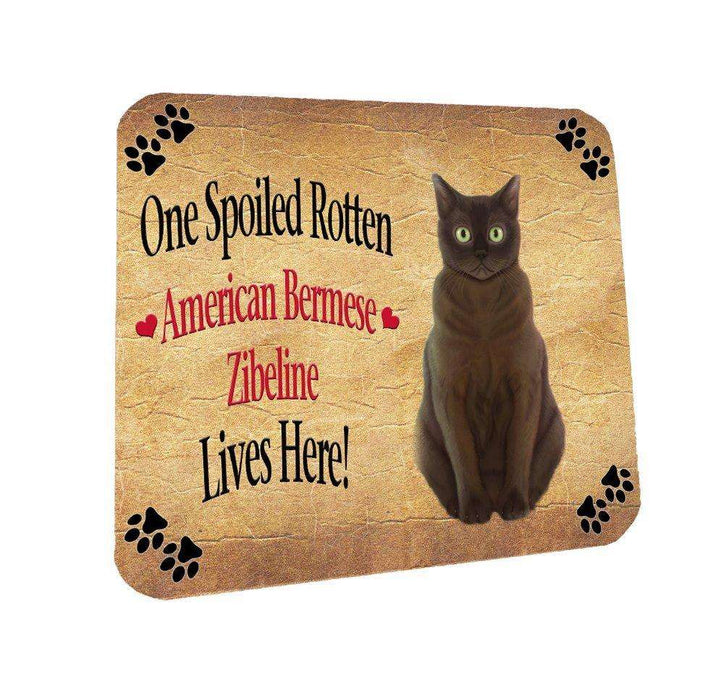 American Bermese Zibeline Spoiled Rotten Cat Coasters Set of 4