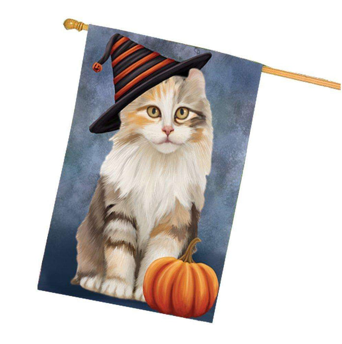 American Curl Cat Wearing Witch Hat with Pumpkin House Flag