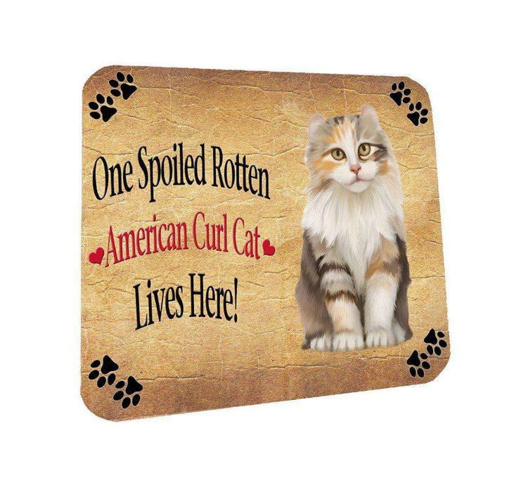 American Curl Spoiled Rotten Cat Coasters Set of 4