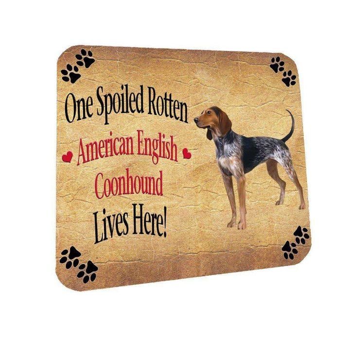 American English Coonhound Spoiled Rotten Dog Coasters Set of 4