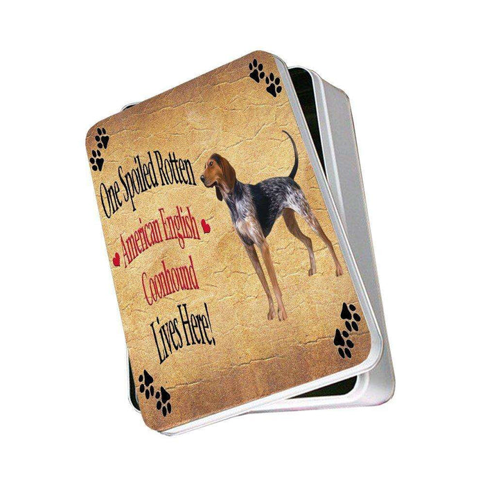 American English Coonhound Spoiled Rotten Dog Photo Storage Tin