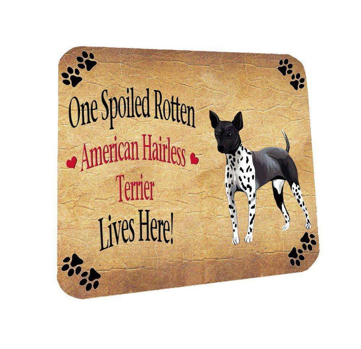 American Hairless Terrier Spoiled Rotten Dog Coasters Set of 4