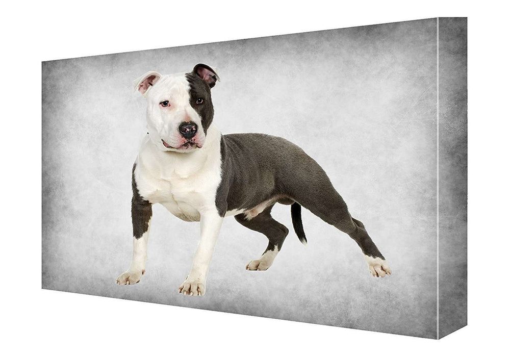 American Staffordshire Terrier Dog Canvas