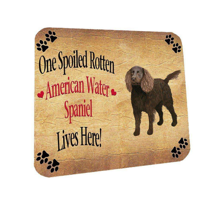 American Water Spaniel Spoiled Rotten Dog Coasters Set of 4