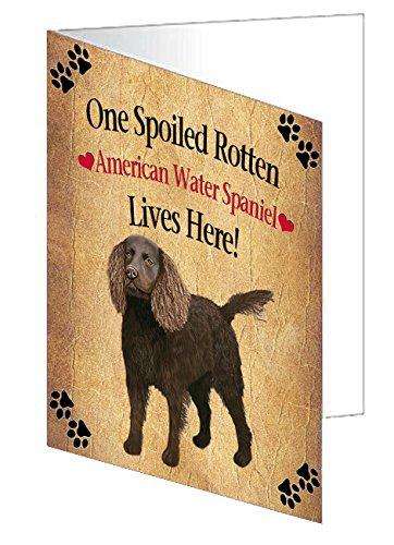 American Water Spaniel Spoiled Rotten Dog Handmade Artwork Assorted Pets Greeting Cards and Note Cards with Envelopes for All Occasions and Holiday Seasons