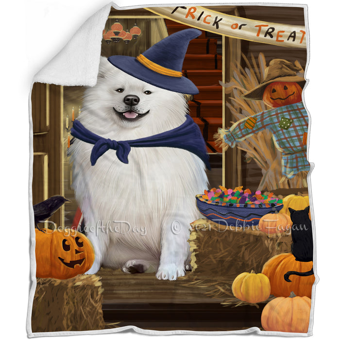 Enter at Own Risk Trick or Treat Halloween American Eskimo Dog Blanket BLNKT93792