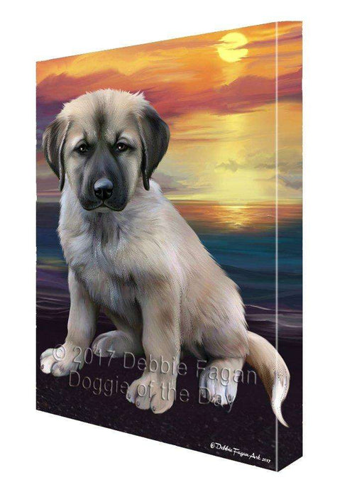 Anatolian Shepherd Dog Canvas Wall Art D372