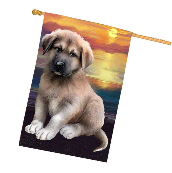 Anatolian Shepherd Dog House Flag HF273